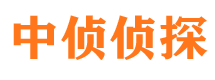 宝应市侦探公司